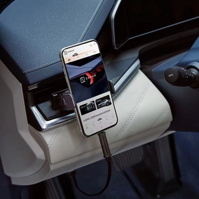 12-24в Сходность напряжения ZEEKR Polkrypton Car OBD Charger для транспортных средств ZEEKR