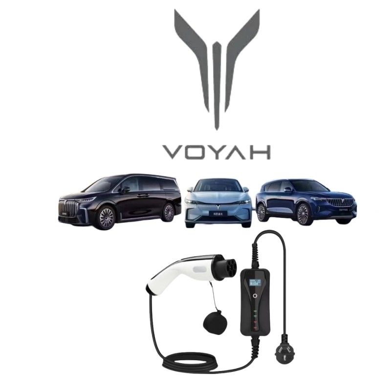 3/Y/S/X Plug-in Voyah Free EV специальное зарядное оружие для зарядки автомобилей